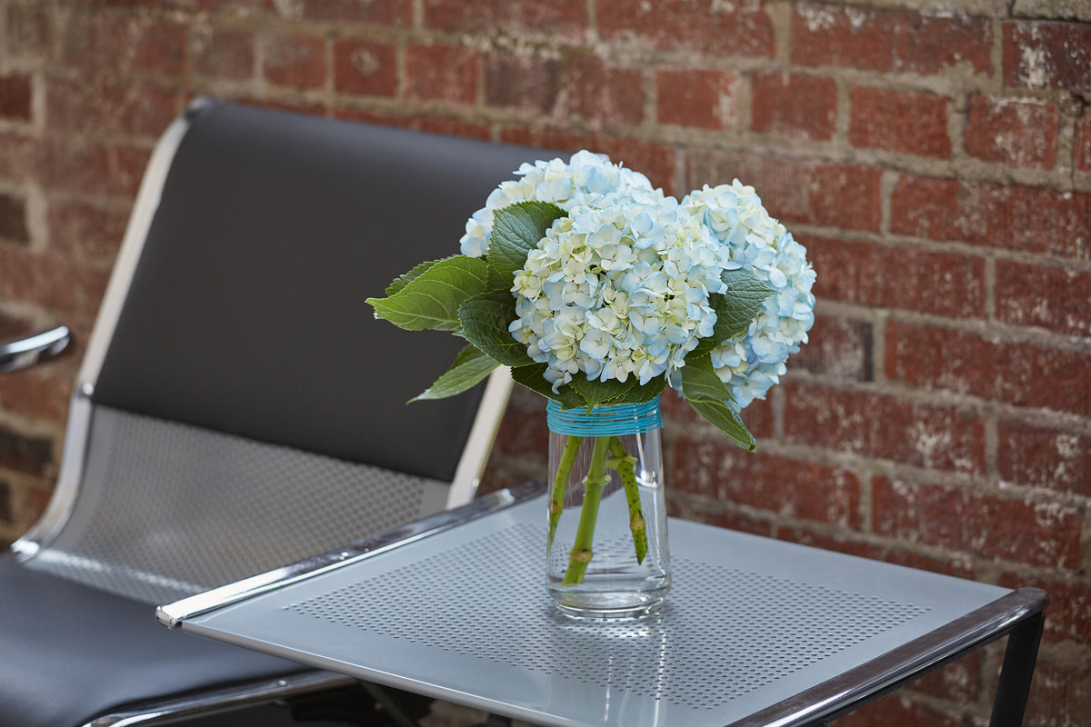 FloristryWarehouse Oasis Flower & Craft Spray Glue 150ml : :  Home & Kitchen